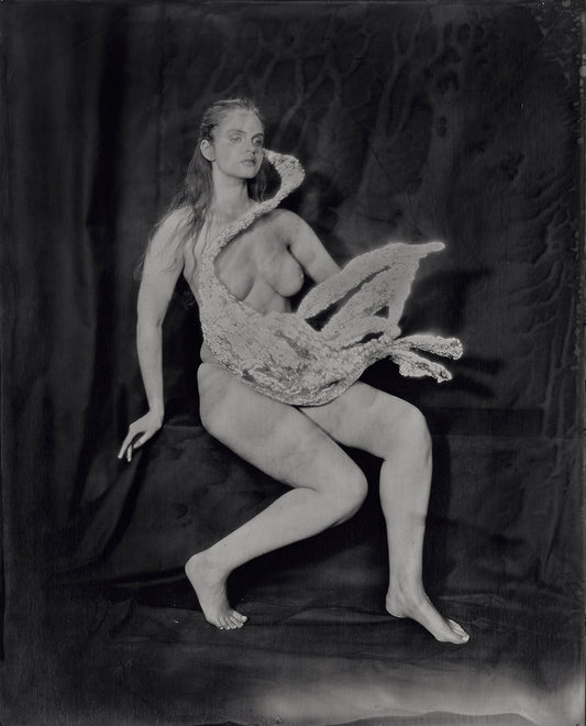 Kasia Wozniak, Cygnus (POS ONLY, NOT LIVE ON WEBSITE)