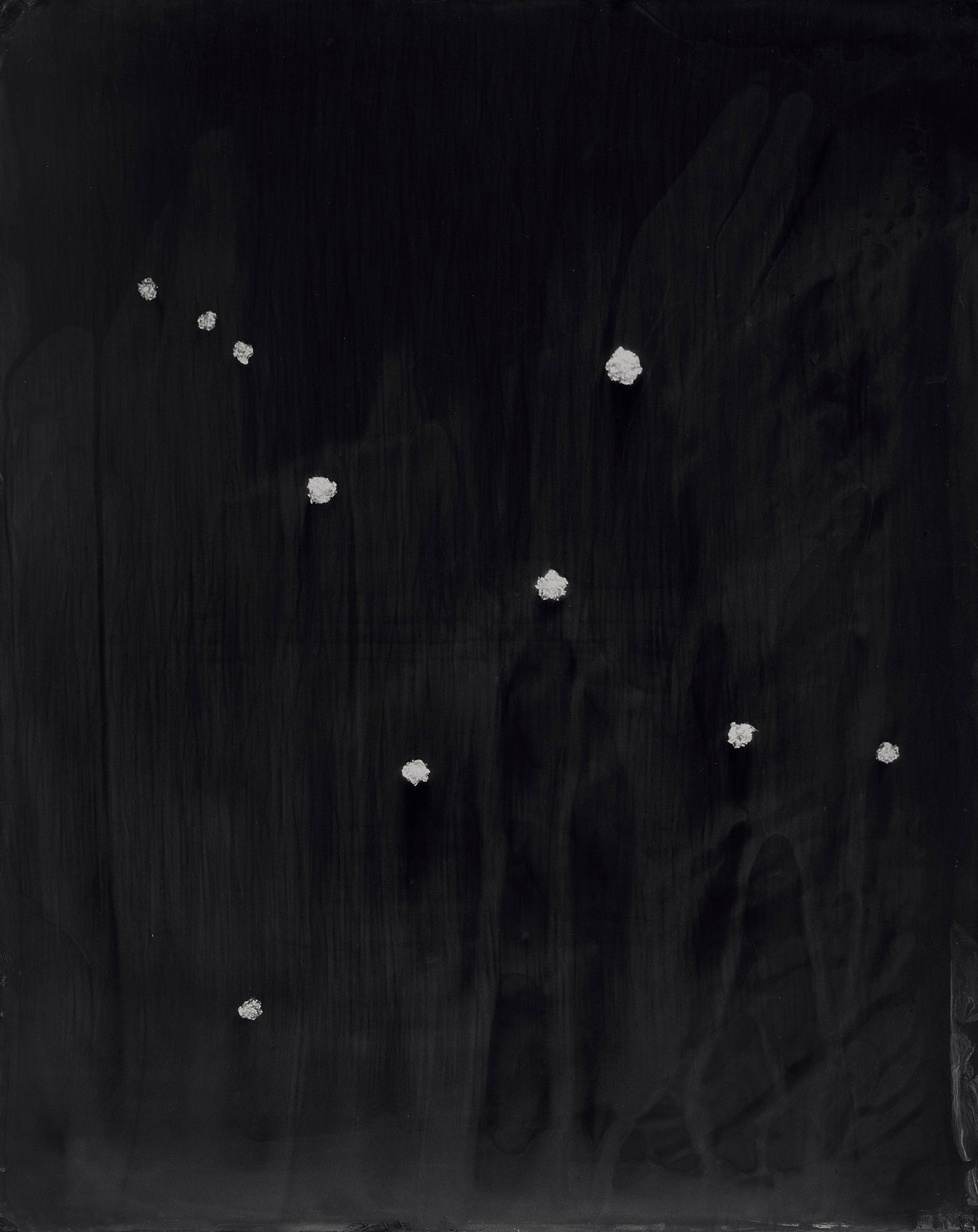 Kasia Wozniak, Cygnus (POS ONLY, NOT LIVE ON WEBSITE)