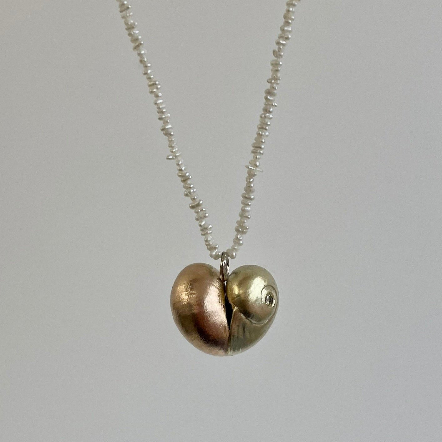 Christopher Thompson-Royds, He Sells Seashells Large