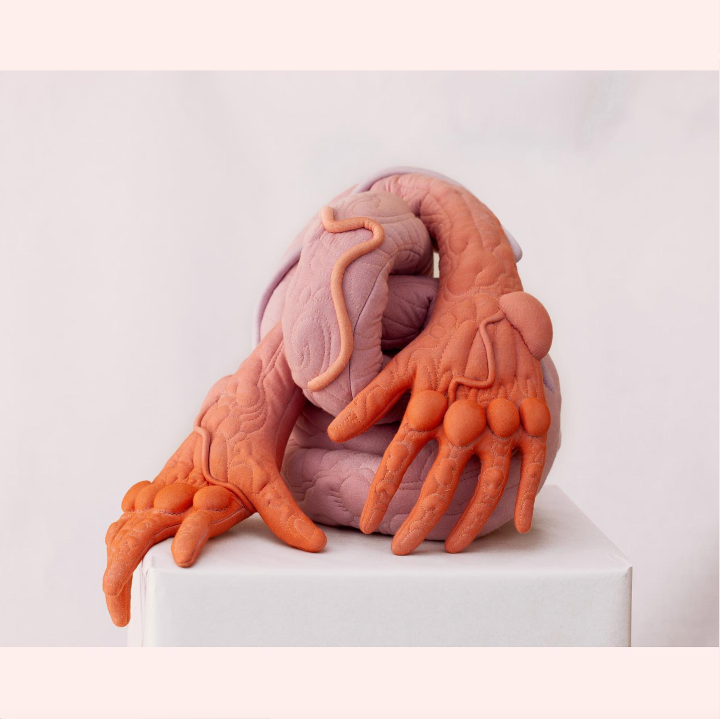 Daisy Collingridge, Hands Are Tied