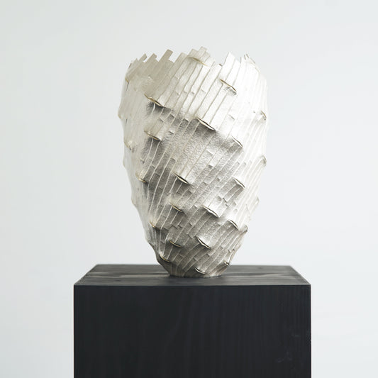 Shinta Nakajima, Tane Bambuksia