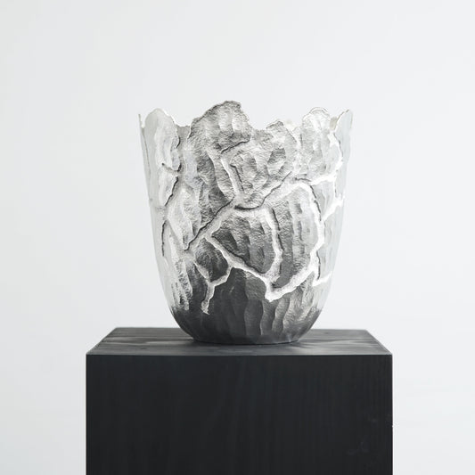 Shinta Nakajima, Tane Cracked Walnut