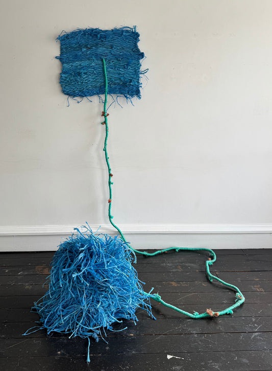 Darcey Fleming, Untitled