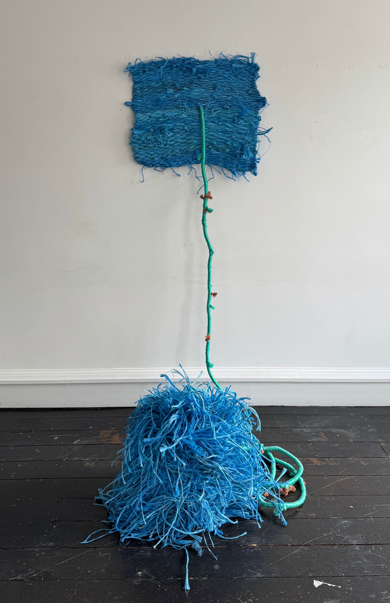 Darcey Fleming, Untitled