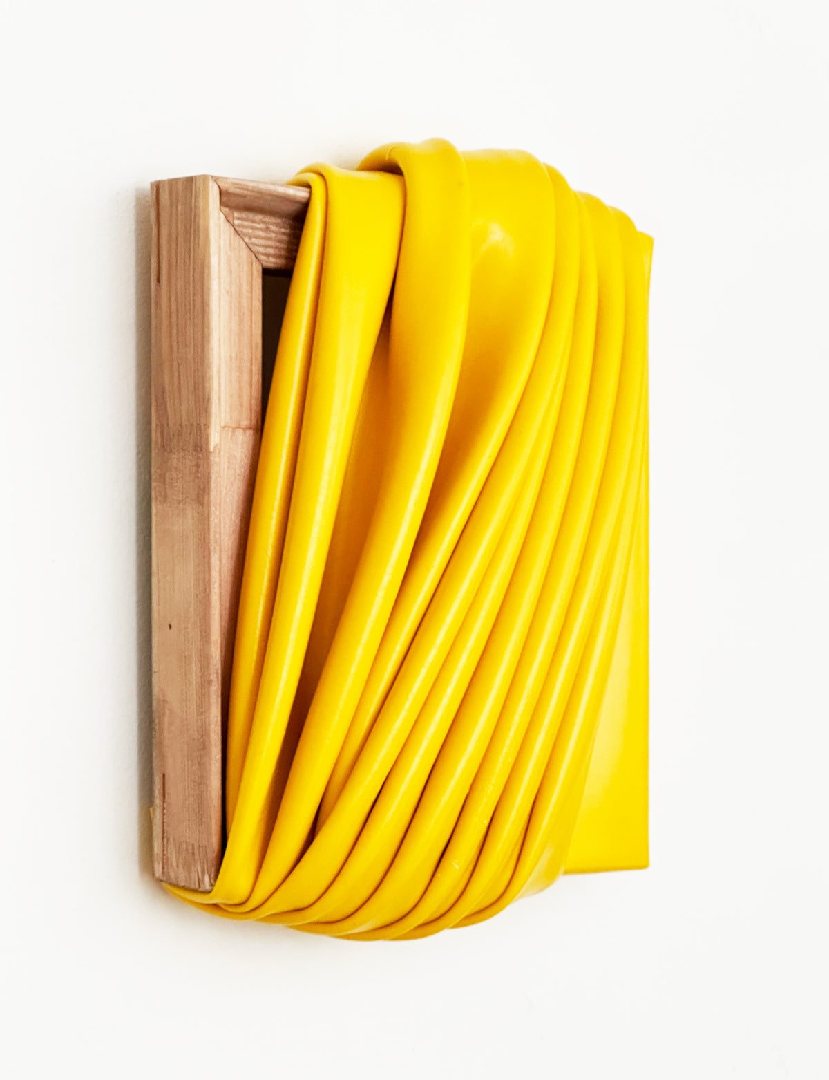 James Tailor, Yellow Palo