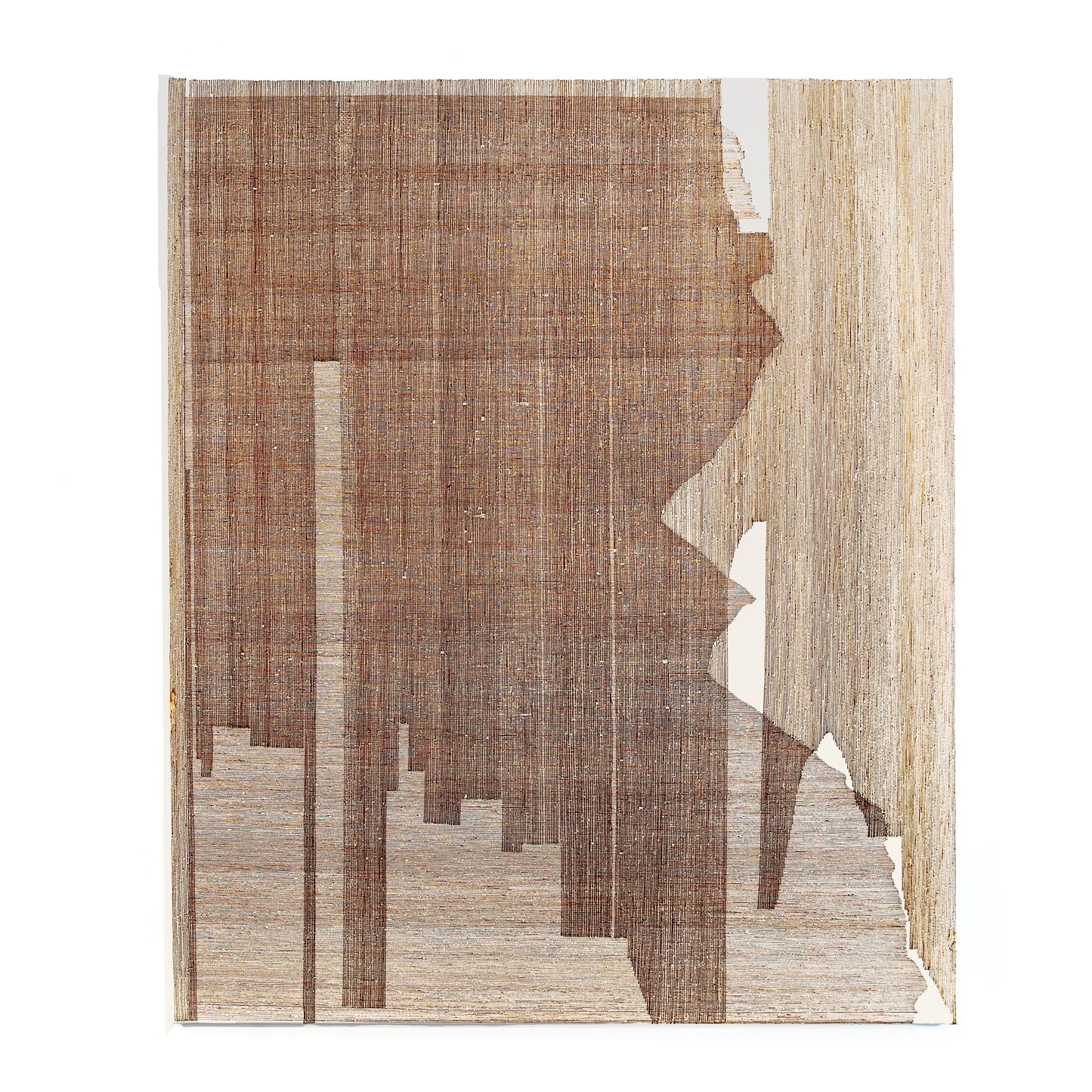 Banita Mistry, Awake?